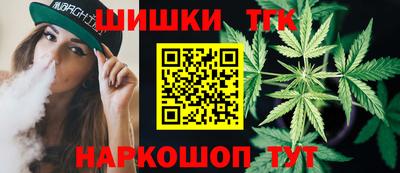 индика Обь